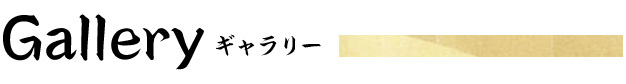 ギャラリー