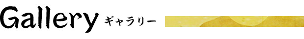 ギャラリー
